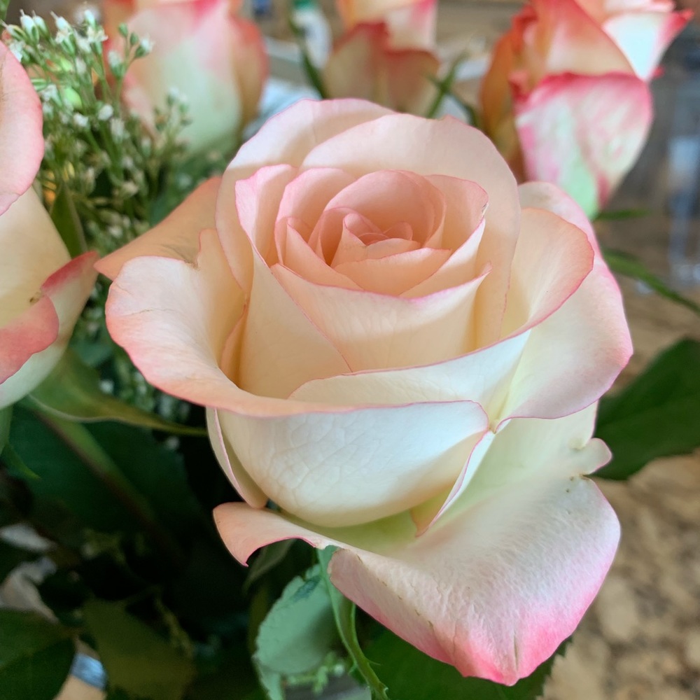 Meet your Posher, Travelling